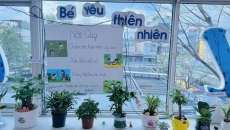 BÉ YÊU CÂY XANH BÉ YÊU CÂY XANH